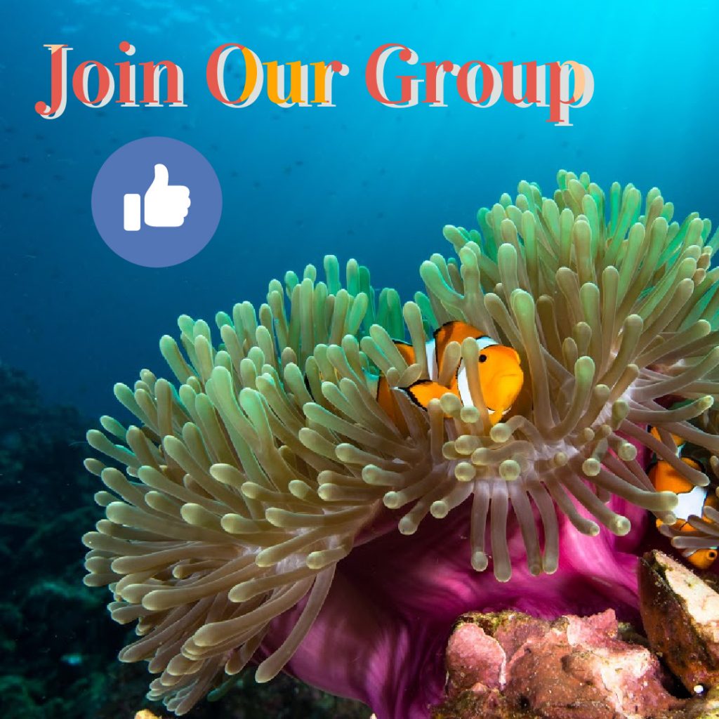 Marine Animal Behavior and Symbiotic Relationships Facebook Group