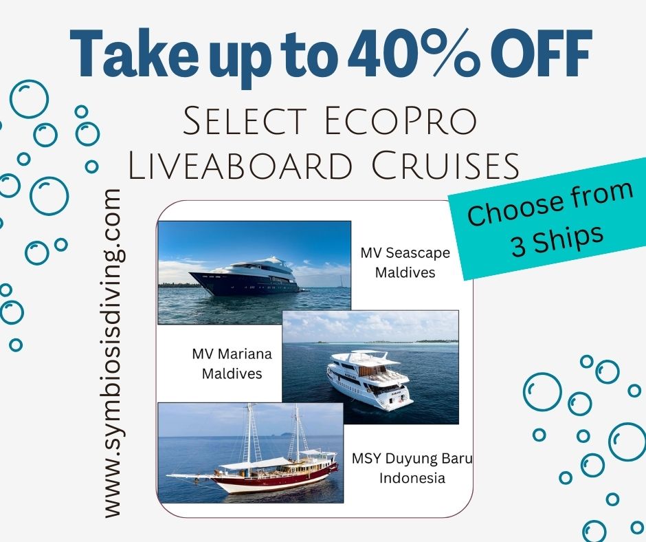 Maldives, Komodo, special, discount